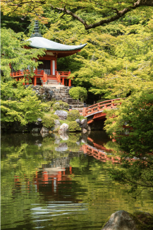 Japanse taalcursussen