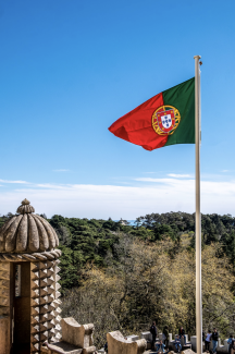 Cursussen Portugees