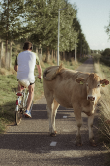 Filosofie van mens en natuur