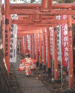 Japans 5