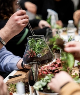 Tropisch Terrarium maken