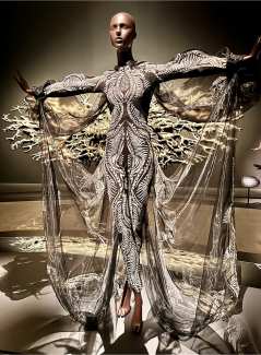 Ontdek het werk van Iris van Herpen - mode als sculptuur